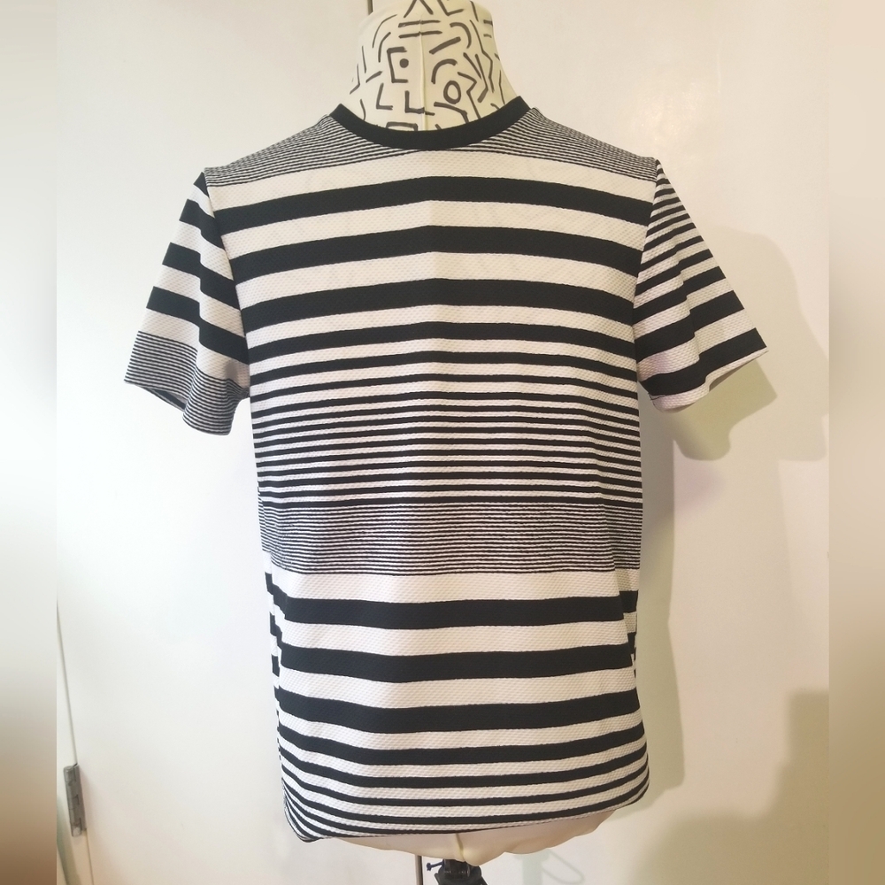 Men's Multi-Stripe Black/ White Tee